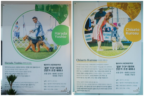 태현상사 이미지