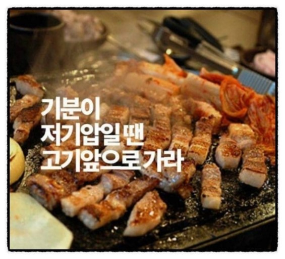 상록수소고기 이미지