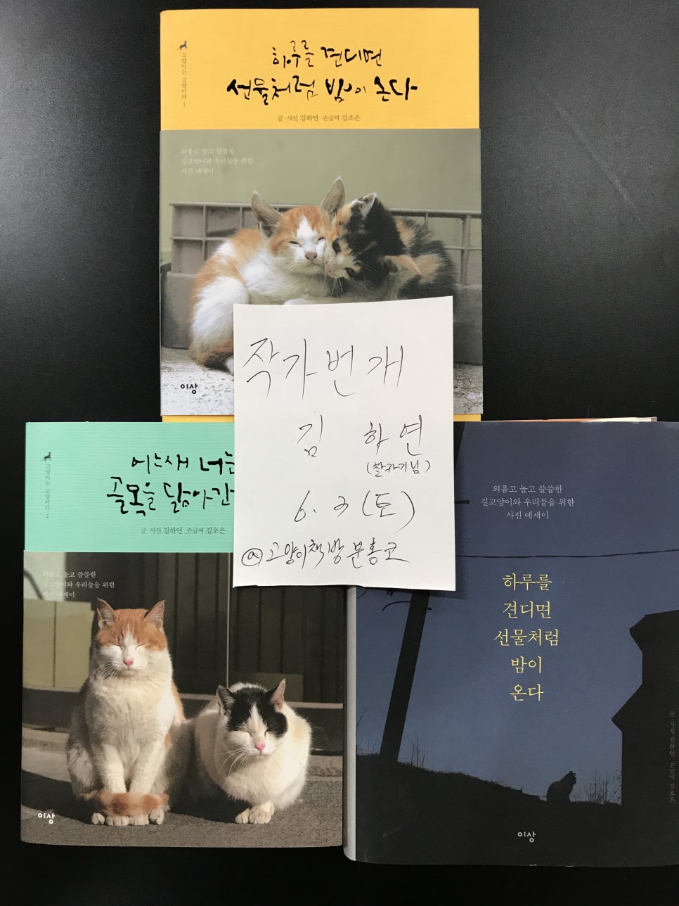 책방분홍코 이미지