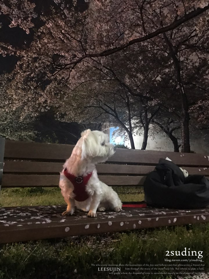 잉크와오피스부산 이미지