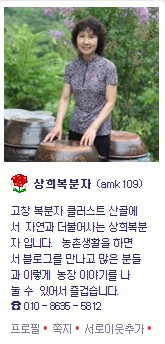애정아로니아 이미지
