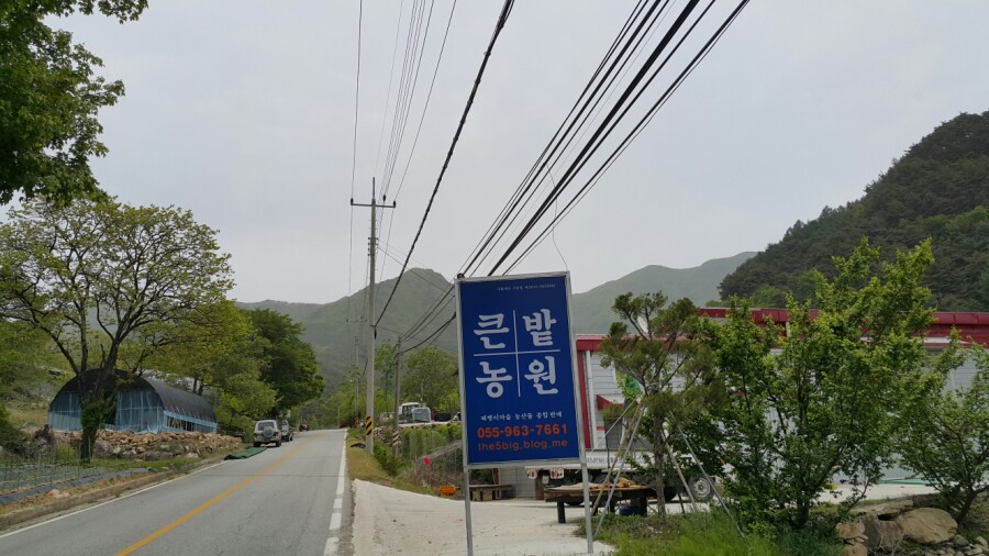 큰밭농원 이미지