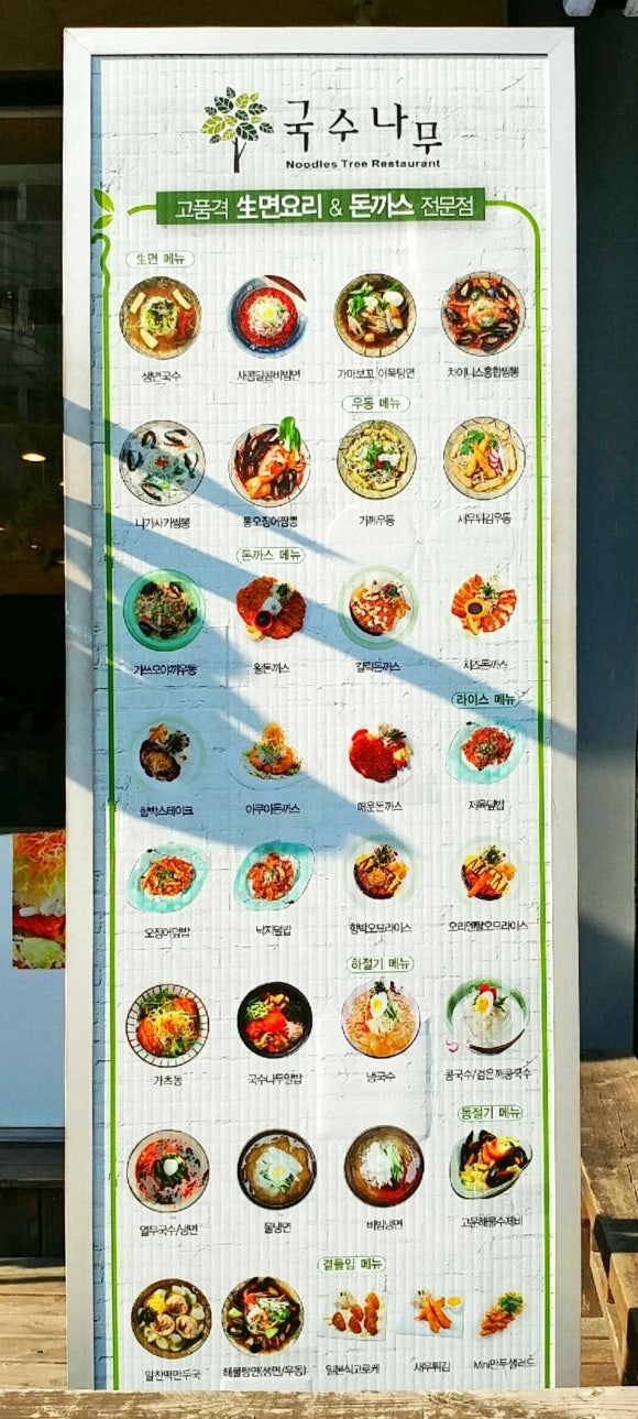 국수나무 이미지