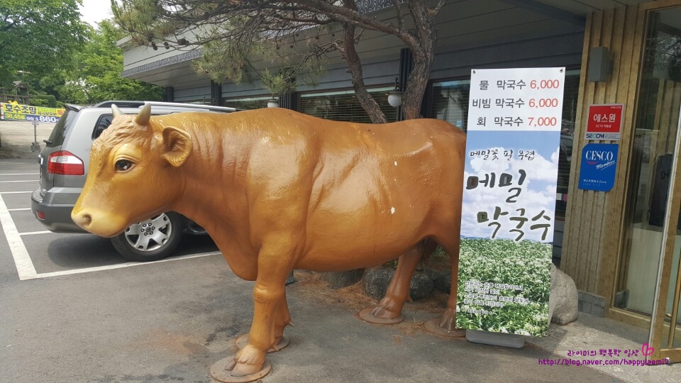 소한마리 이미지