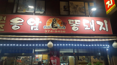 원조응암똥돼지 이미지