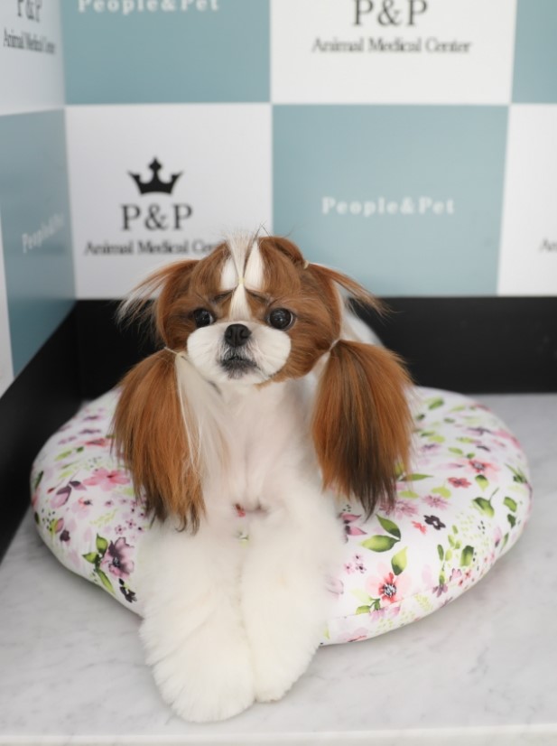 피엔피PC 이미지