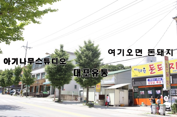 여기오면돈돼지 이미지
