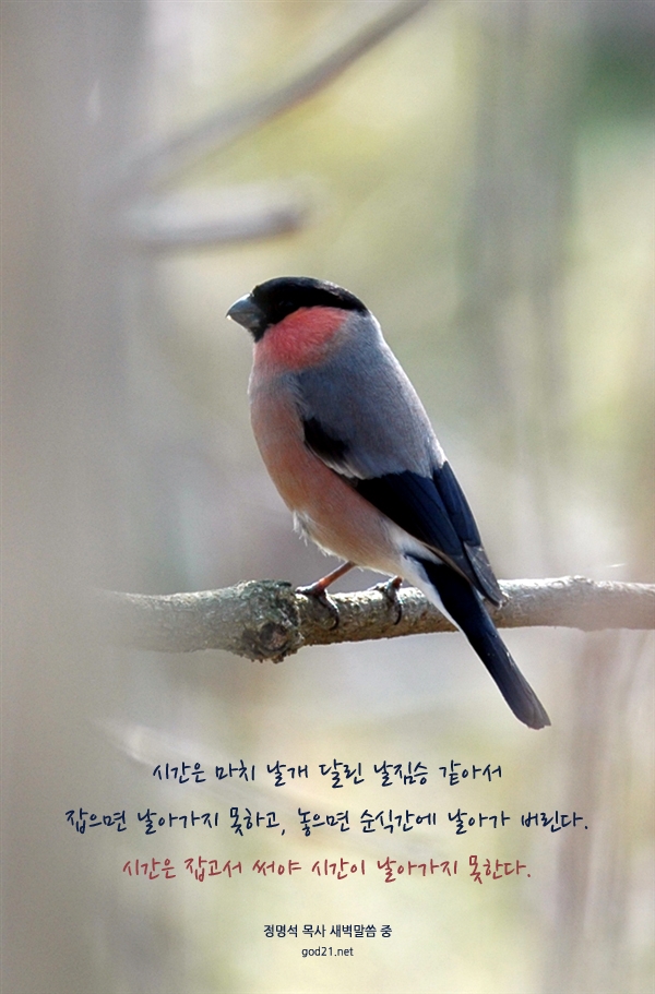 인생날개 이미지