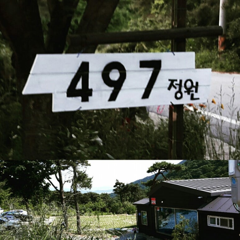 497정원 이미지