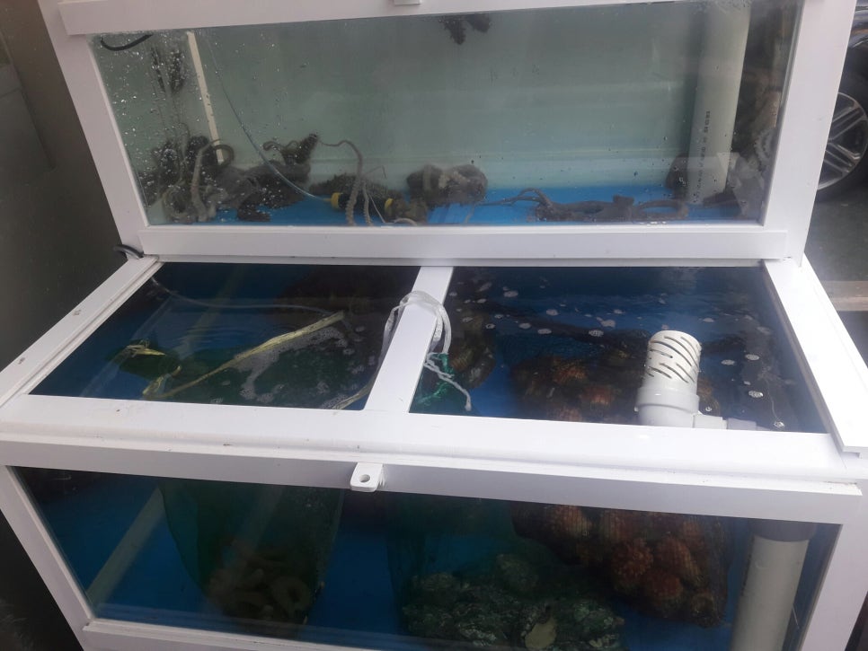 계명회센타 이미지