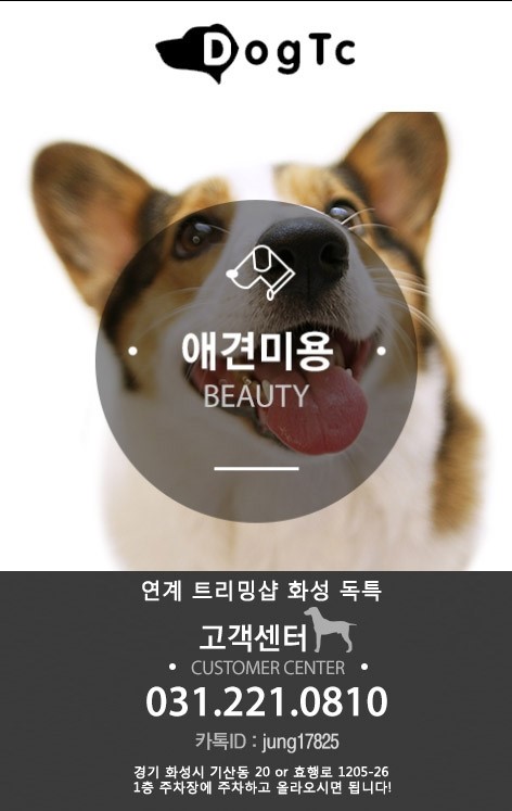 신촌시스터즈 이미지