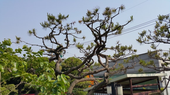 연수주택관리 이미지