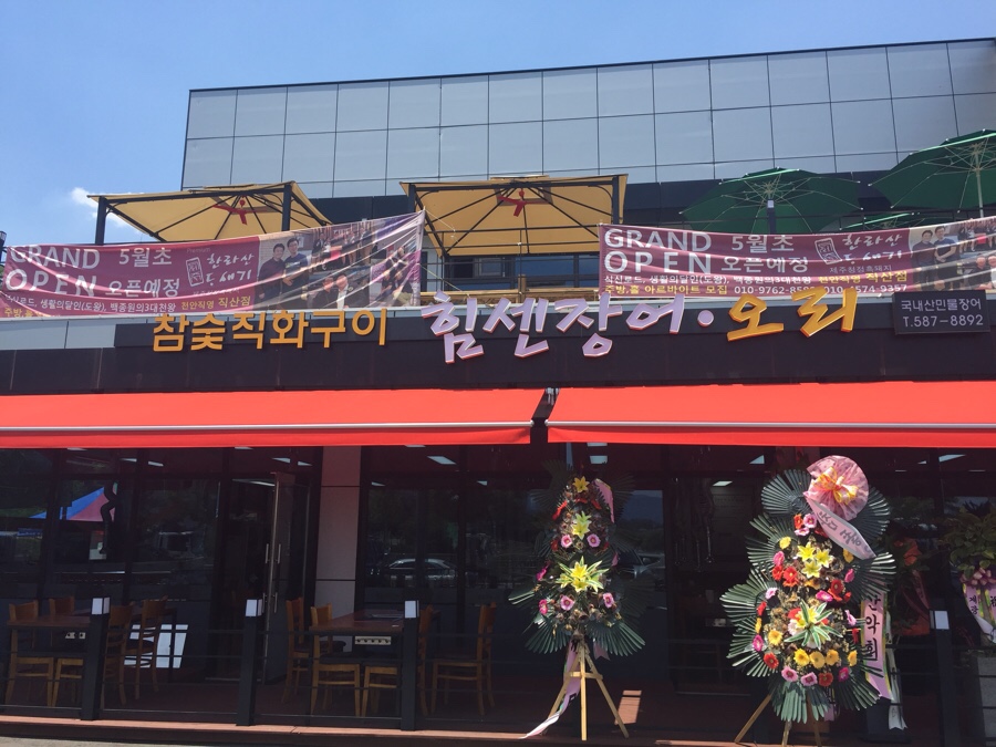 힘센장어오리 이미지