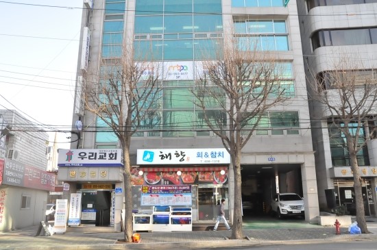해향 이미지
