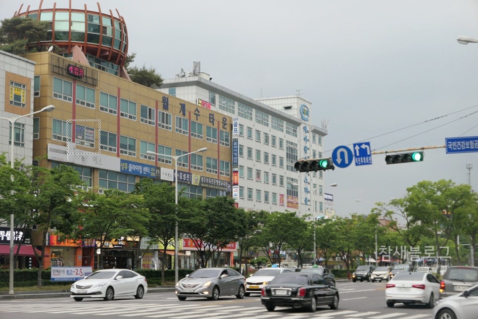상무S피티 이미지