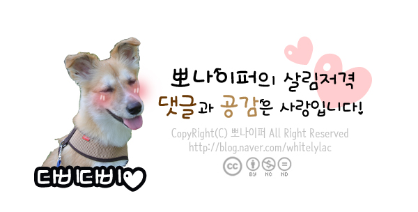 기타이스파 이미지
