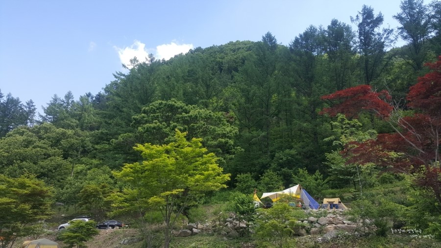 제천세탁소 이미지