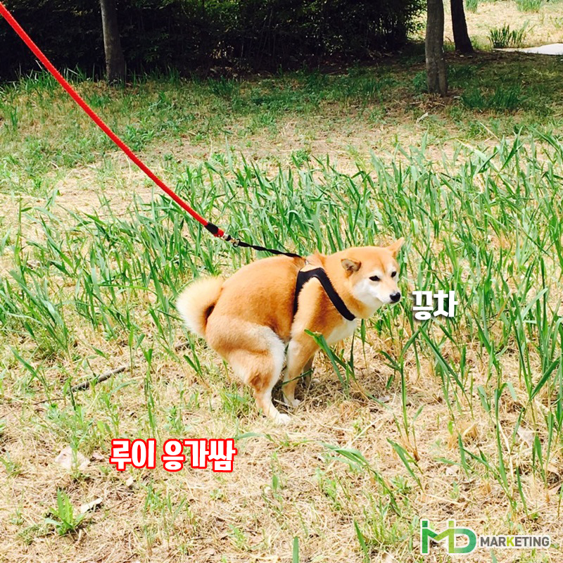 한강마케팅 이미지