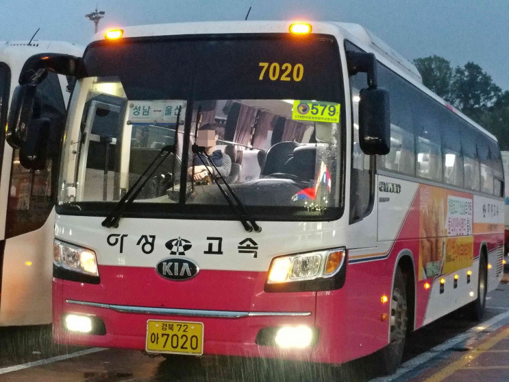 성남아성 이미지