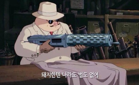 돼지나라 이미지