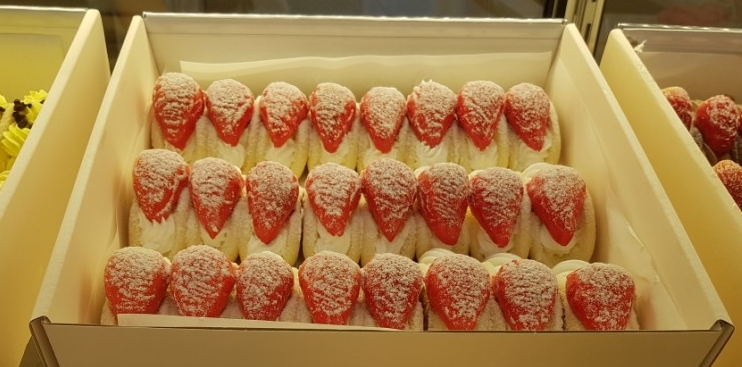 래드랩 이미지