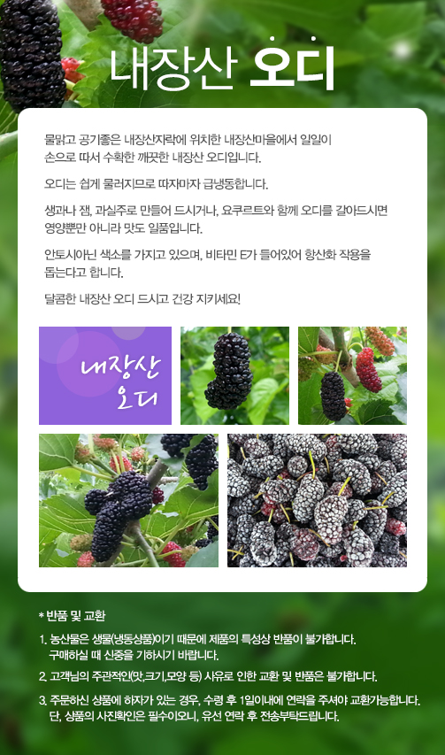 내장산 오디마을 이미지