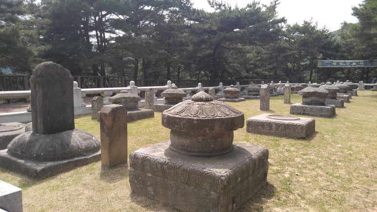 금성석물 이미지