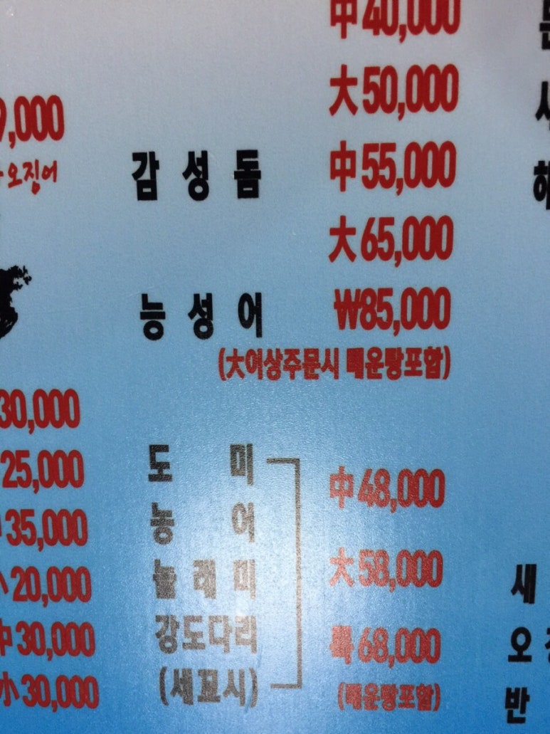 스시 먹는 오징어 이미지