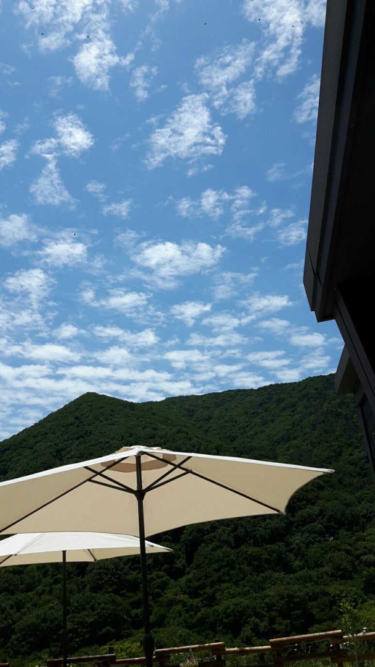 497정원 이미지
