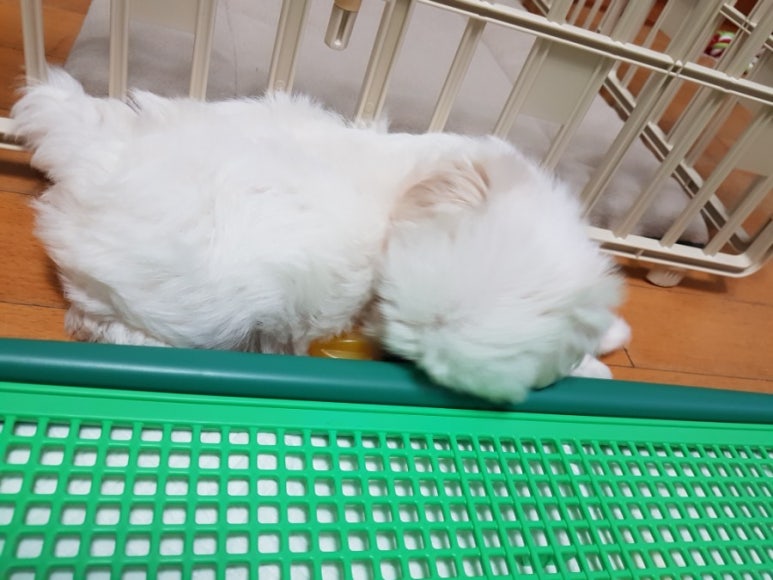 한샘만물창고 이미지
