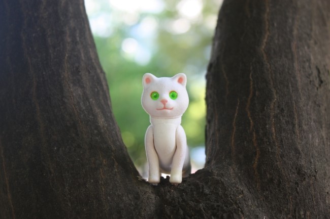 위캔디 이미지