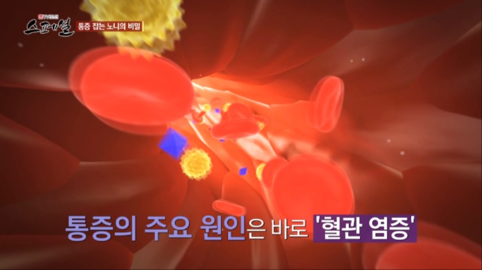 건강다드림 이미지