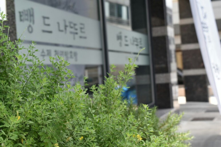 뺑드나뚜르 이미지