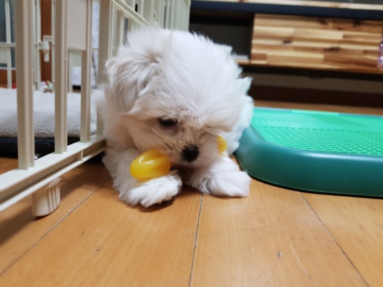 한샘만물창고 이미지