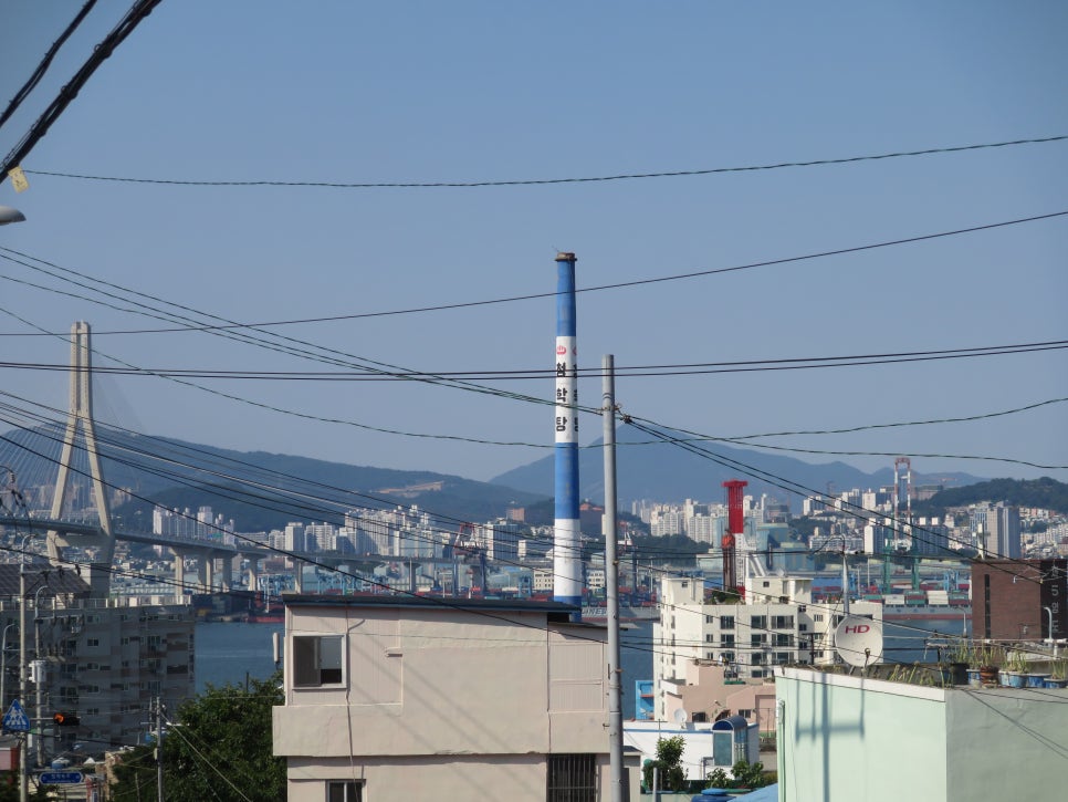 청학탕 이미지