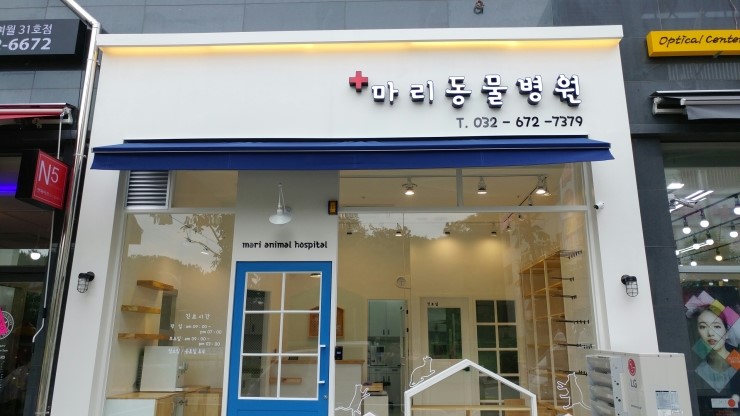 마리의디자인 이미지