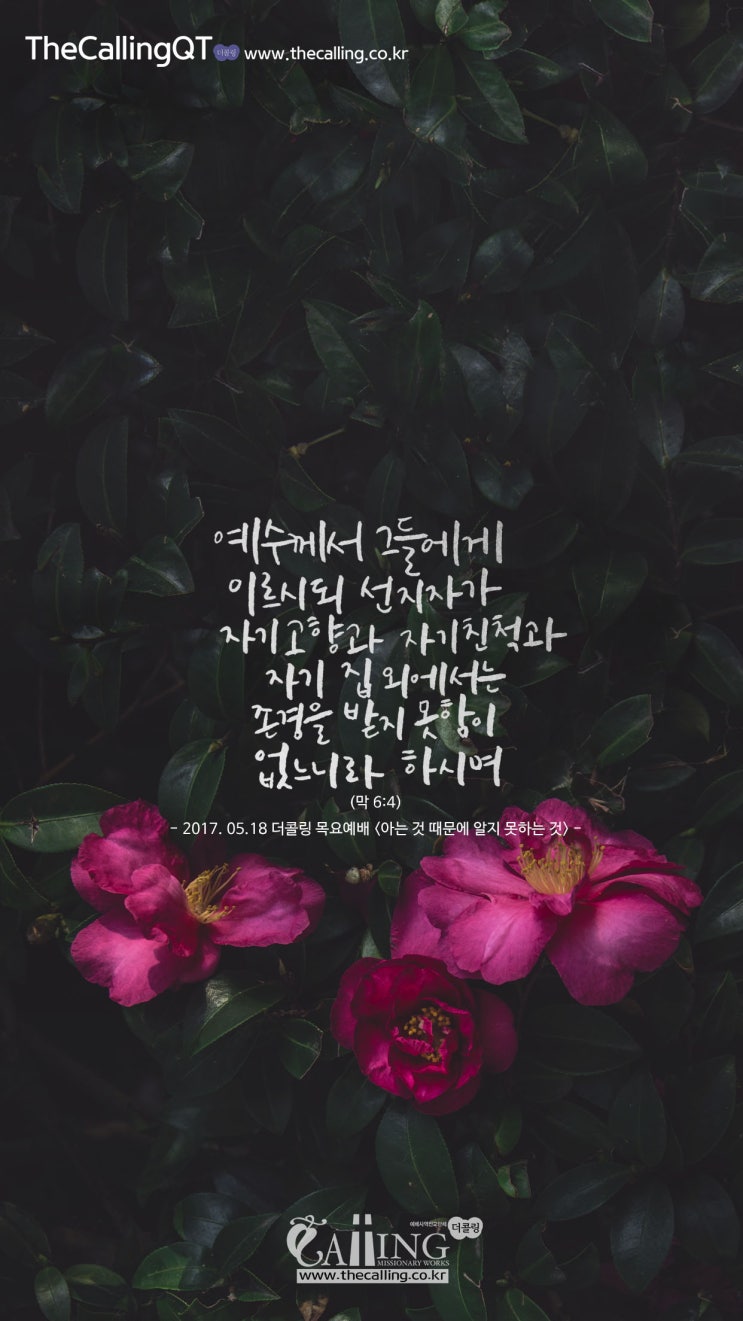 더콜링 이미지