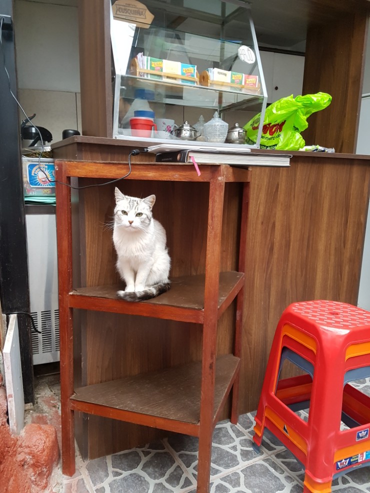 쿠스커피 이미지