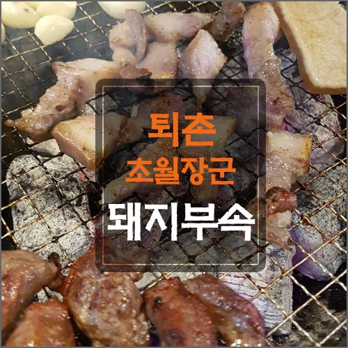 초월장군 이미지