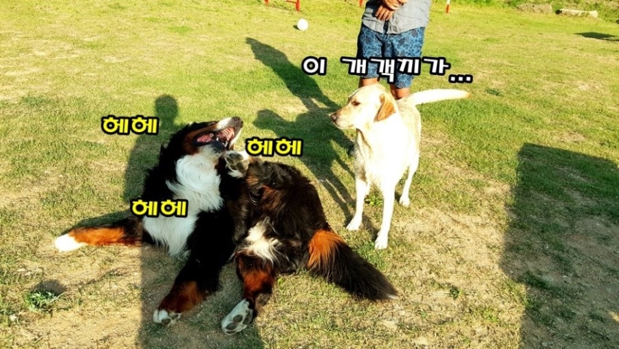 마루네일 이미지