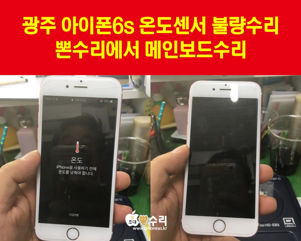 뽄수리 이미지