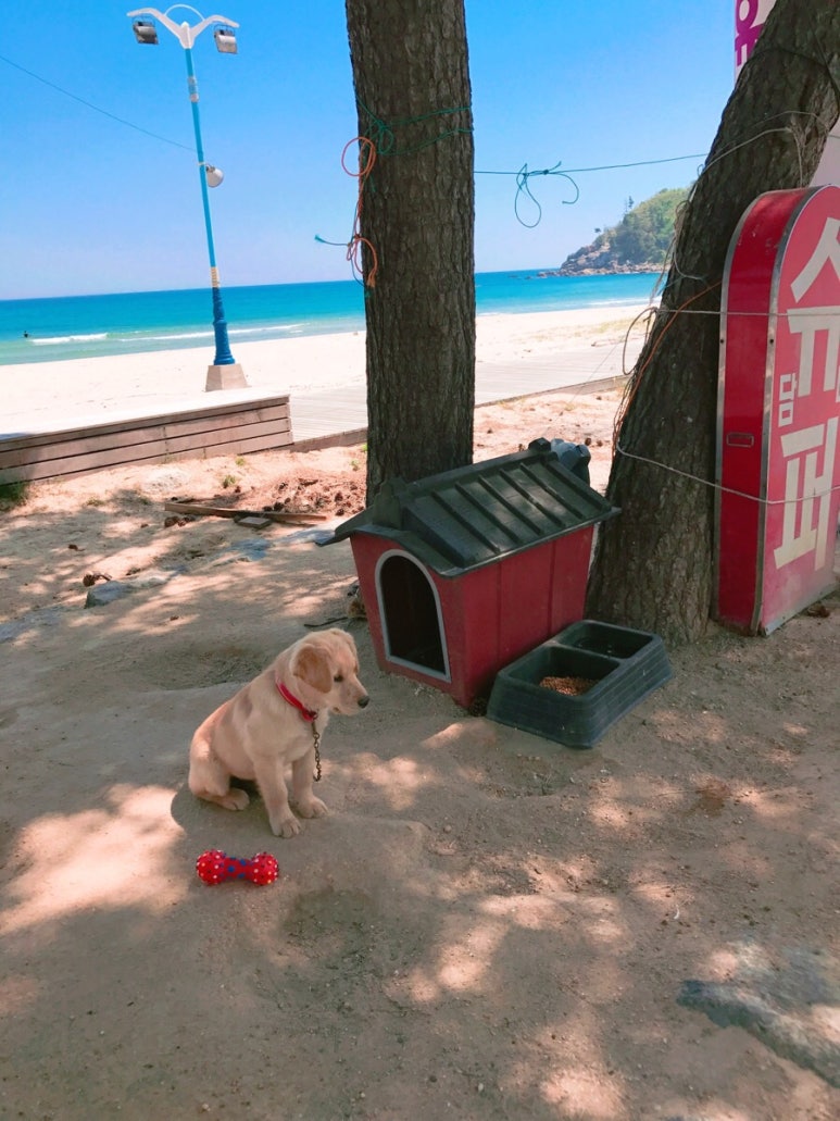 그린비치팬션 이미지