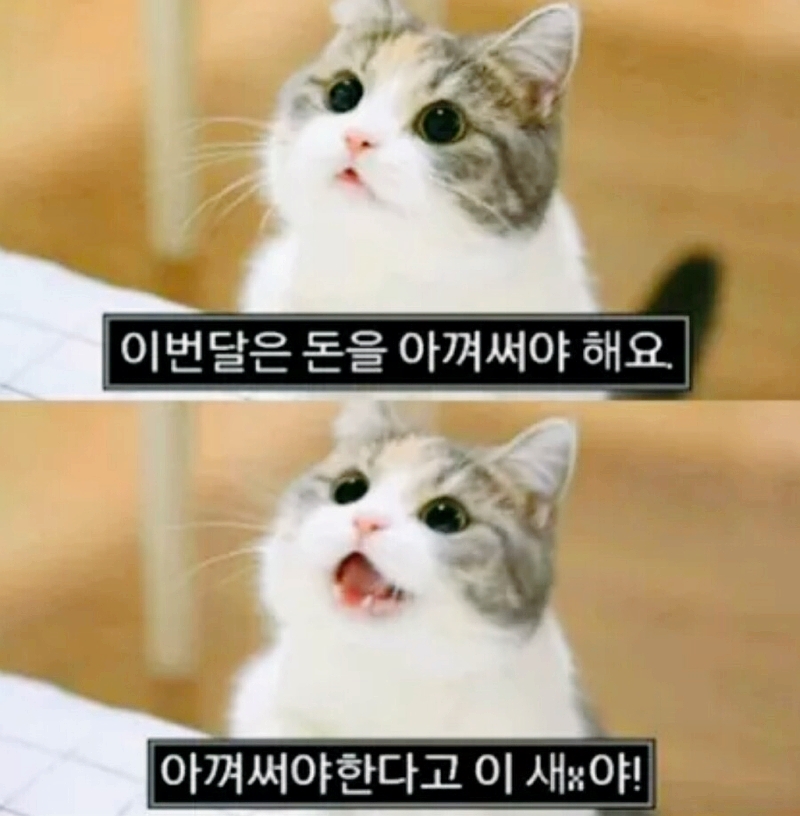 제이블룸 이미지
