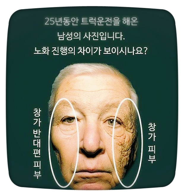 LG화장품 이미지