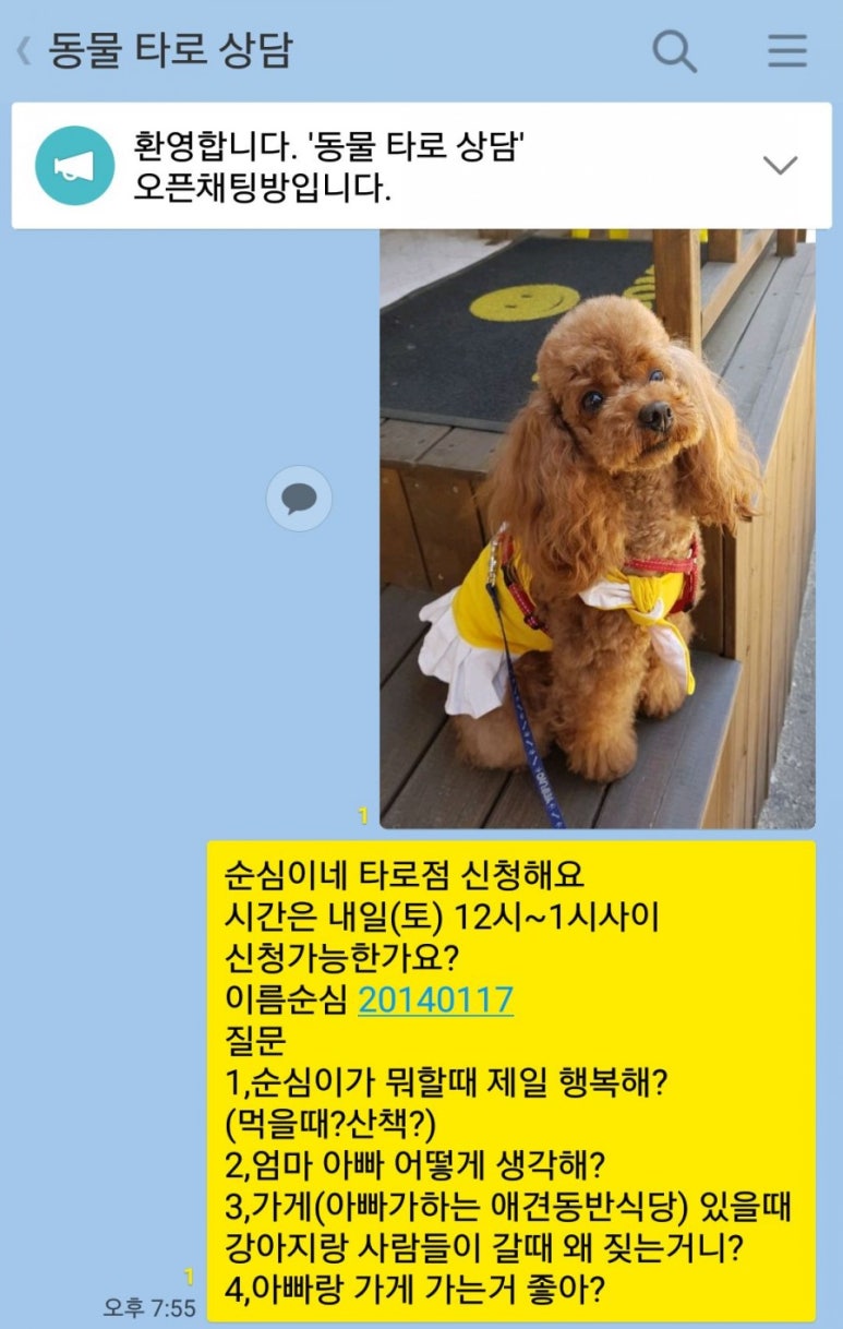 레스토랑펍피 이미지