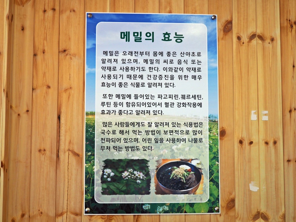 해담 막국수 이미지