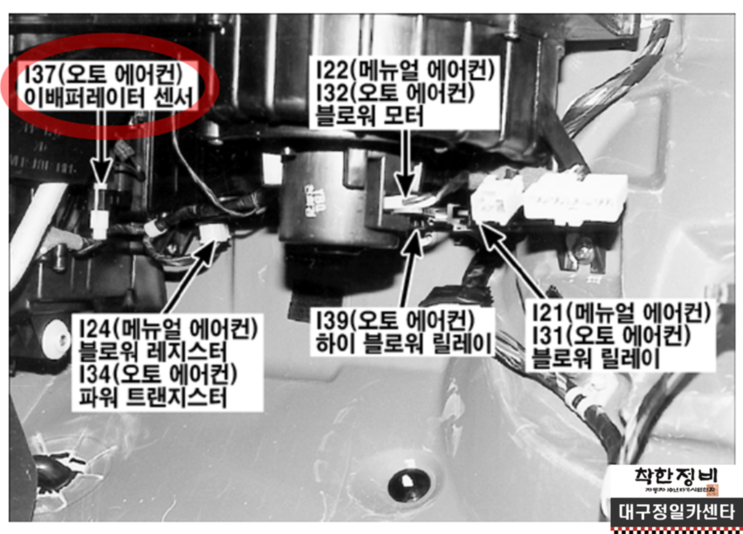 정일카센타 이미지