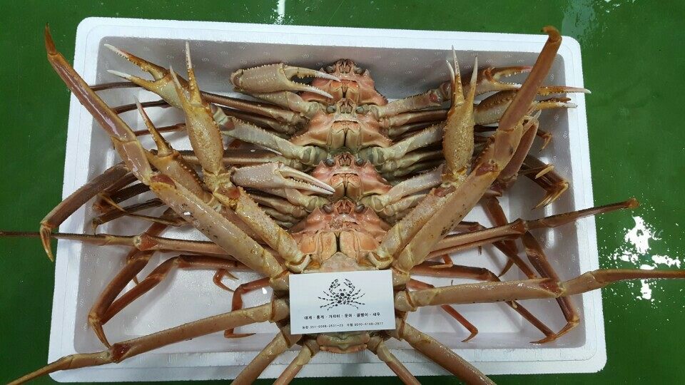 청춘수산 이미지