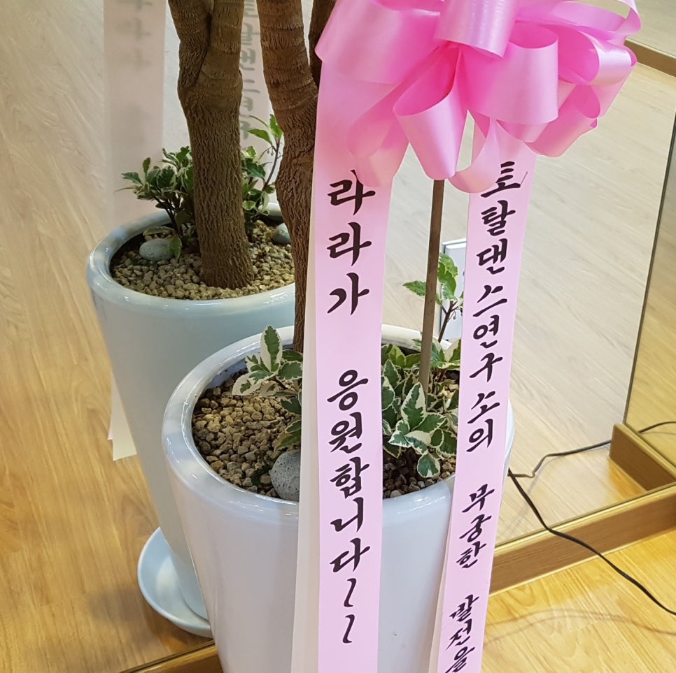 토탈 댄스스포츠 이미지