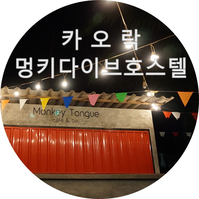 몽키다이브 이미지
